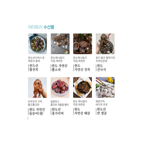 마더트리